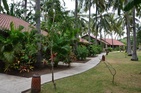 Cocotinos Sekotong Lombok