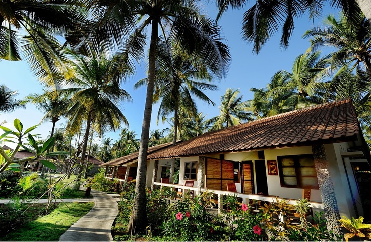 Cocotinos Sekotong Lombok